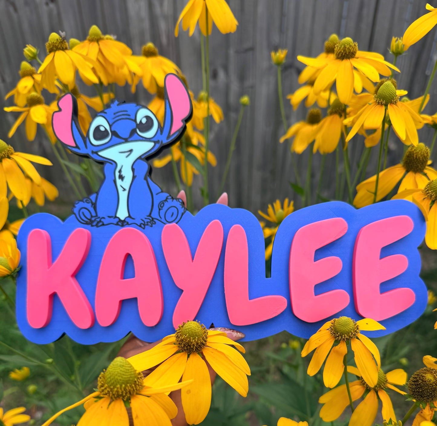 Custom 3D Printed Name Wall/Door Sign