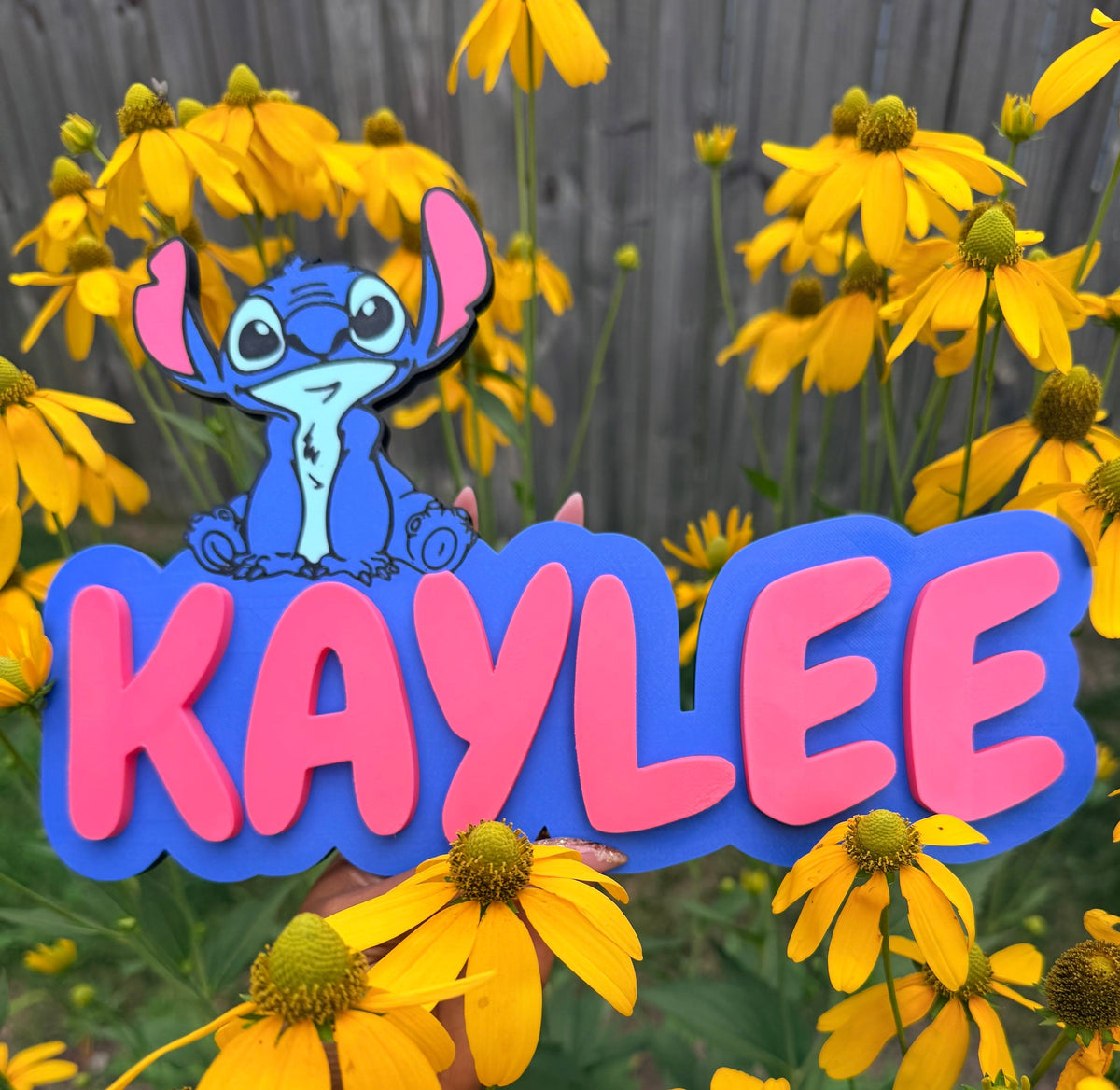 Custom 3D Printed Name Wall/Door Sign